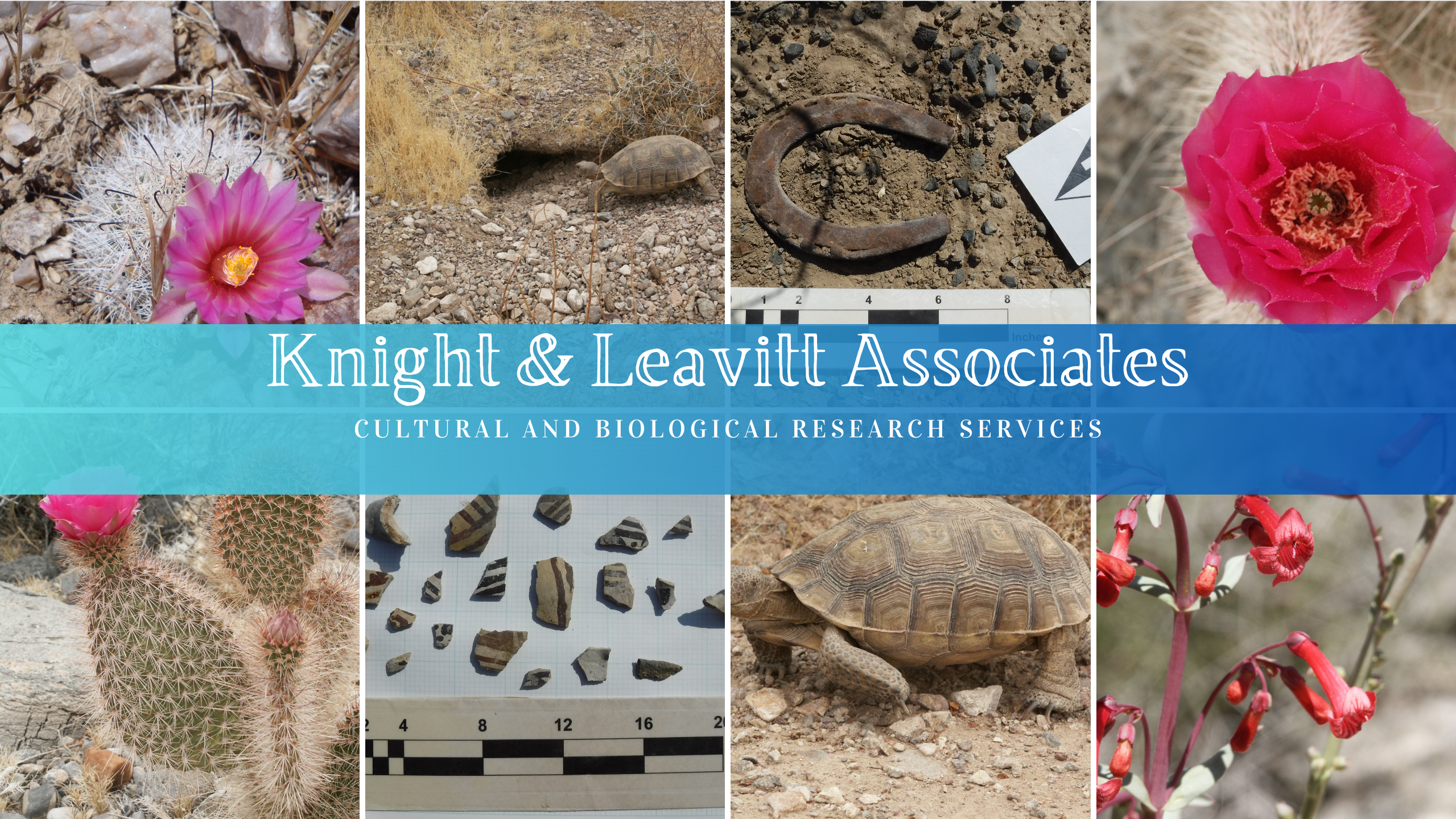 Knight & Leavitt Associates